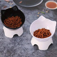 Cargar la imagen en la vista de la galería, Elevated Pet Inclined Food Bowl Bowl - Petsdd
