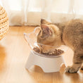 Cargar la imagen en la vista de la galería, Elevated Pet Inclined Food Bowl Bowl - Petsdd
