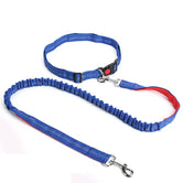 Hands Free Dog Lead & Leash for Running, Adjustable Waist Belt - Petsdd