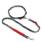 Hands Free Dog Lead & Leash for Running, Adjustable Waist Belt - Petsdd