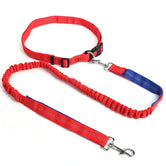 Hands Free Dog Lead & Leash for Running, Adjustable Waist Belt - Petsdd