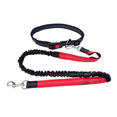 Hands Free Dog Lead & Leash for Running, Adjustable Waist Belt - Petsdd