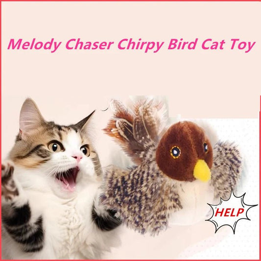 🐾Interactive Chirping Bird Cat Toy✈️ | multiple ways to play - Petsdd