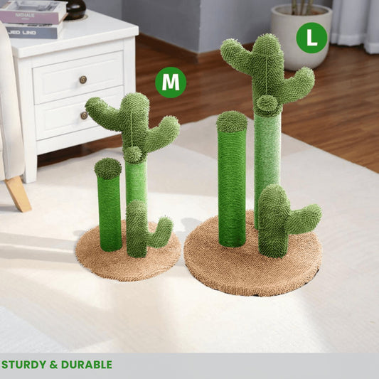 The Scratching Cactus | PETSDD - Petsdd