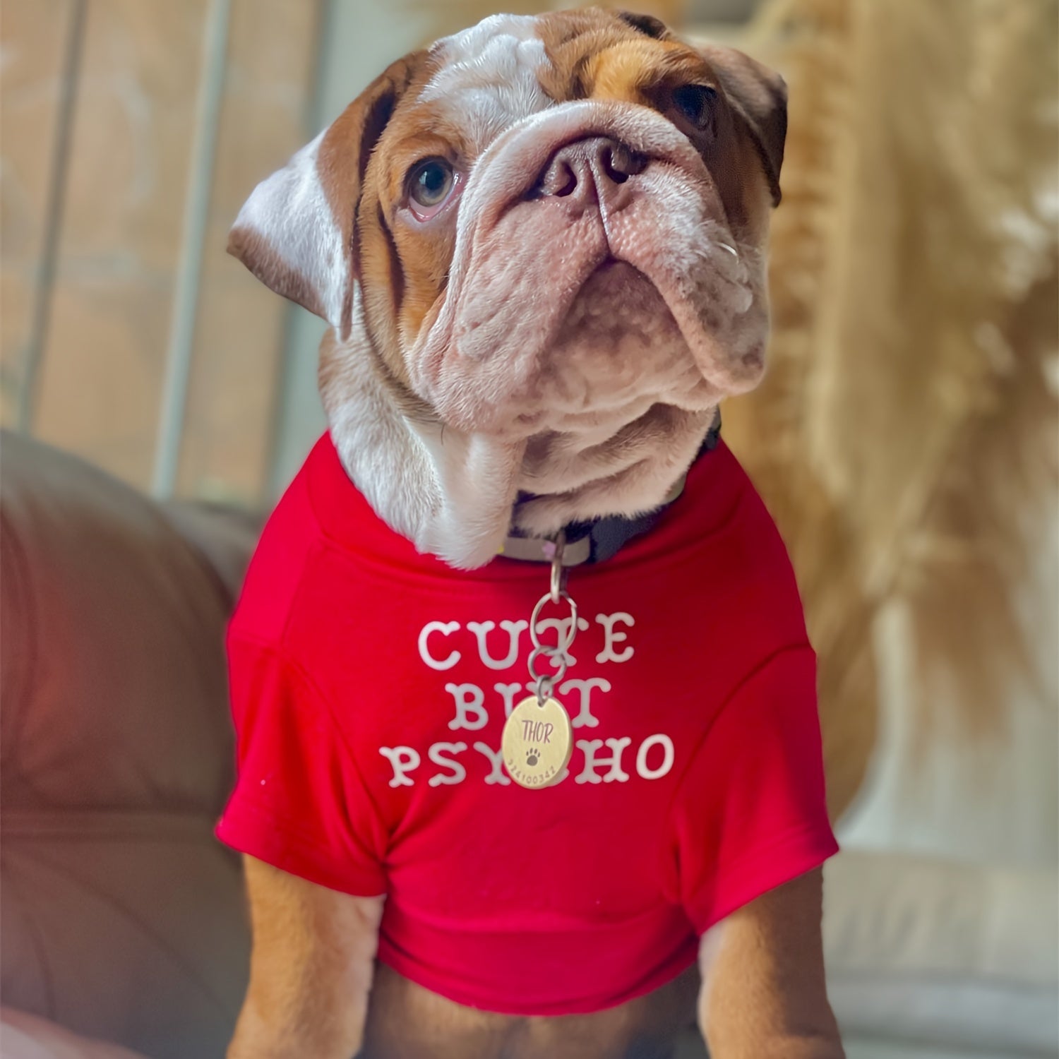 "Cute but psycho" T-shirt For Dogs